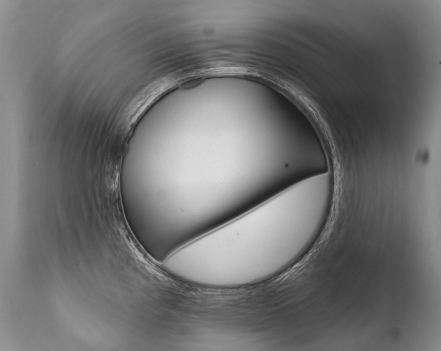 X0000112001193200908031039