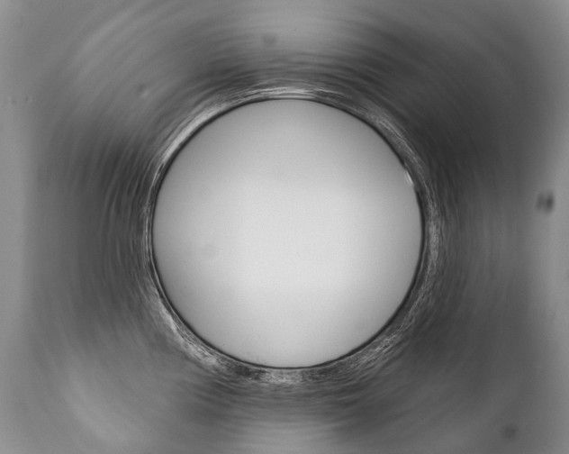 X0000112001194200908031039
