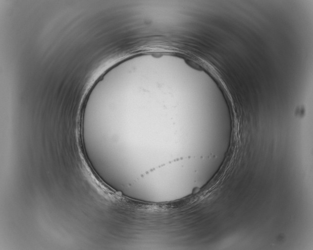 X0000112001195200908031039