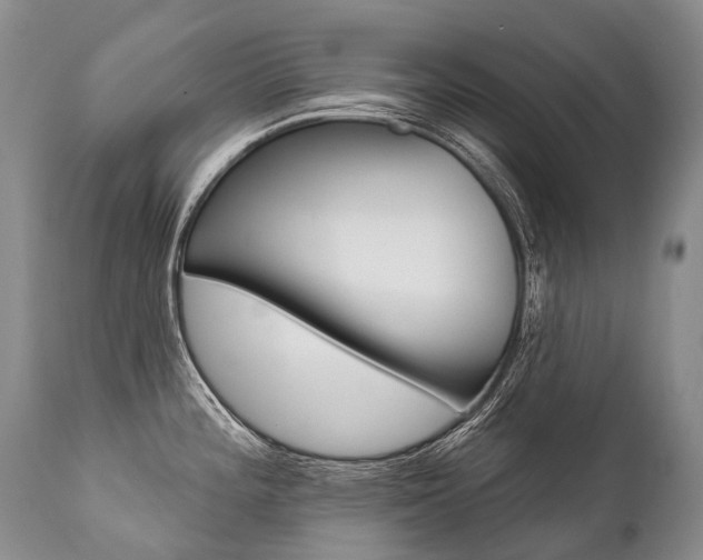 X0000112001196200908031039