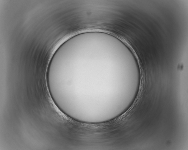 X0000112001197200908031039