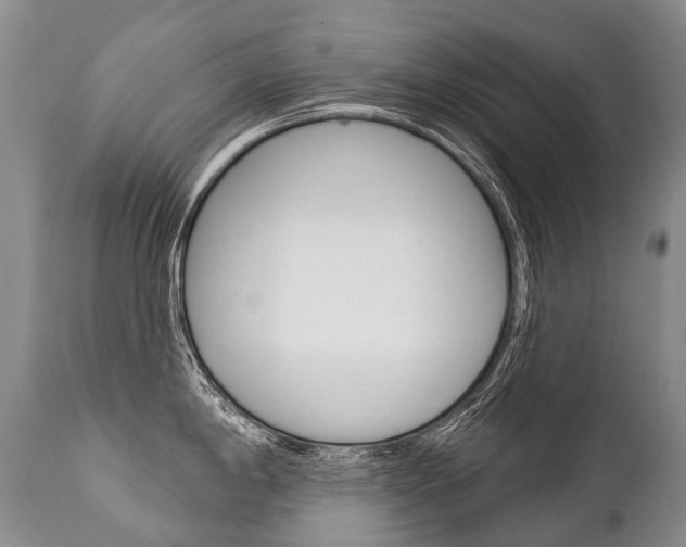 X0000112001198200908031039