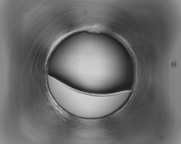 X0000112001200200908031038