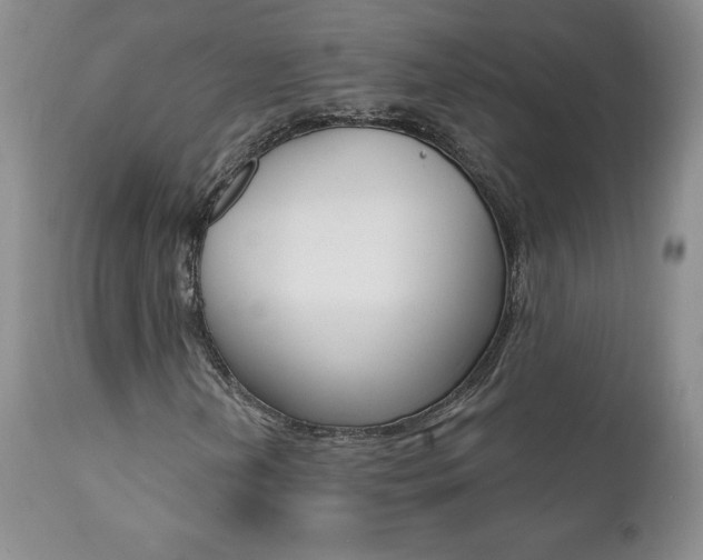 X0000112001202200908031038