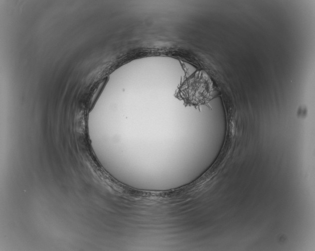 X0000112001204200908031038