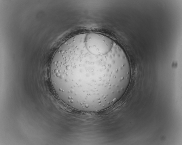 X0000112001205200908031038