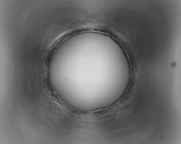 X0000112001206200908031038