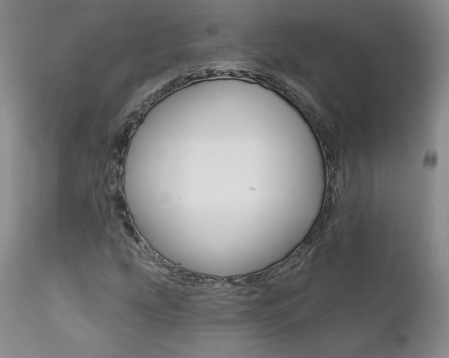X0000112001207200908031038