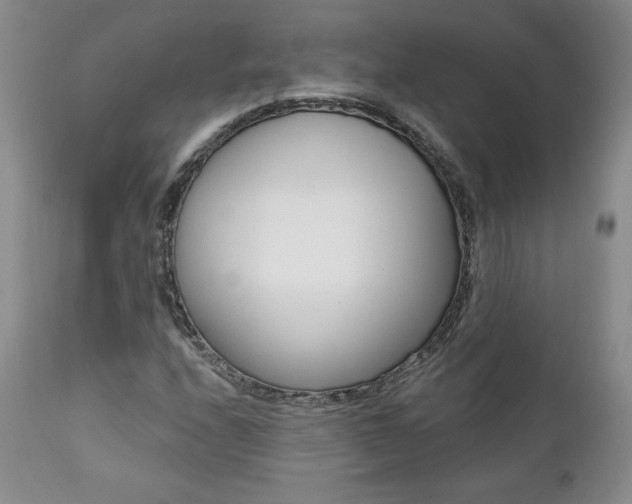 X0000112001208200908031038