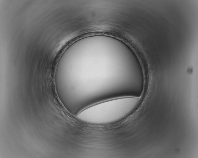 X0000112001210200908031038