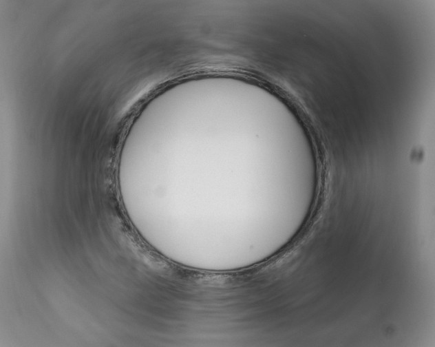 X0000112001211200908031038