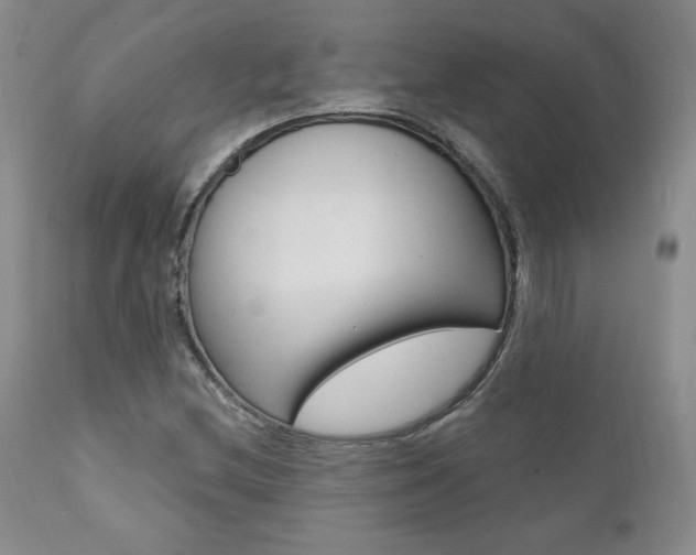 X0000112001212200908031038