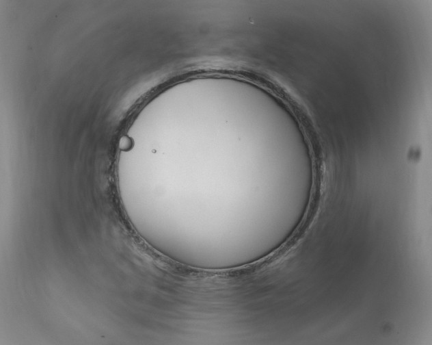 X0000112001213200908031038
