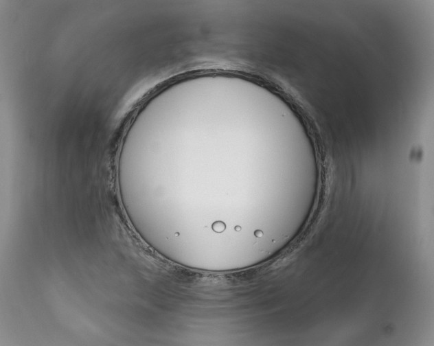X0000112001215200908031038