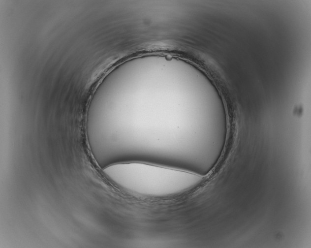 X0000112001217200908031038
