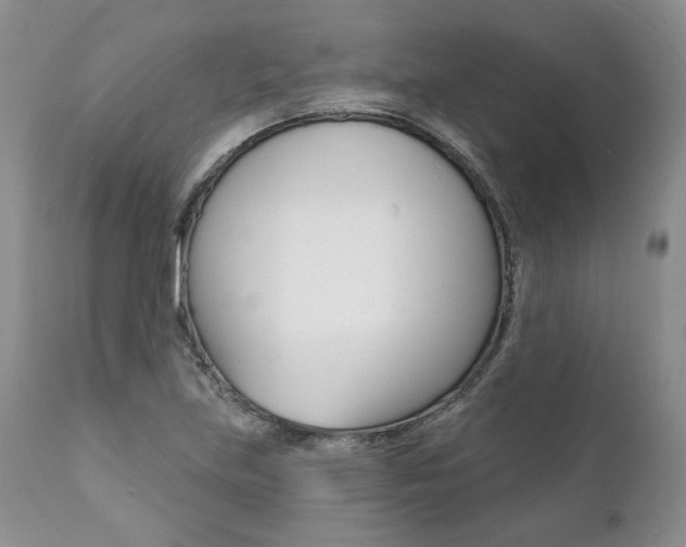 X0000112001219200908031038