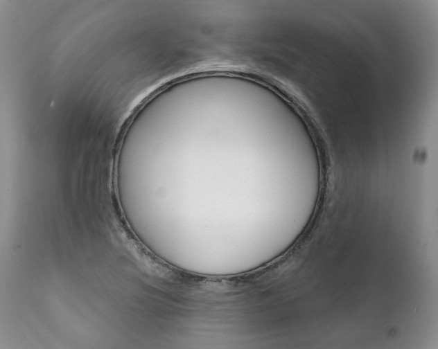 X0000112001220200908031038