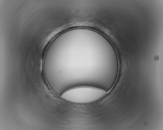 X0000112001221200908031038