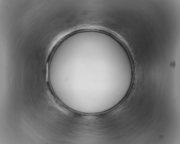 X0000112001223200908031038