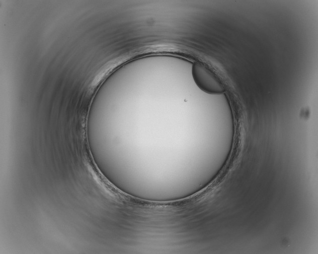X0000112001225200908031038