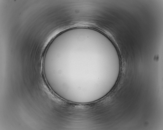 X0000112001227200908031038