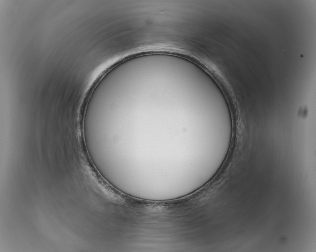 X0000112001230200908031038