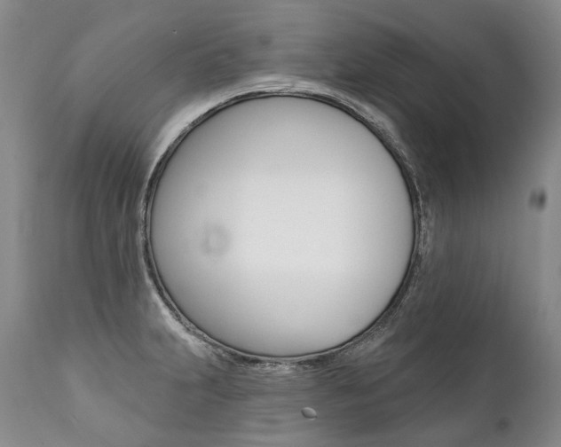 X0000112001231200908031038