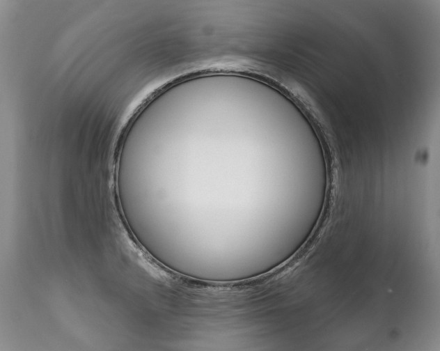 X0000112001232200908031038