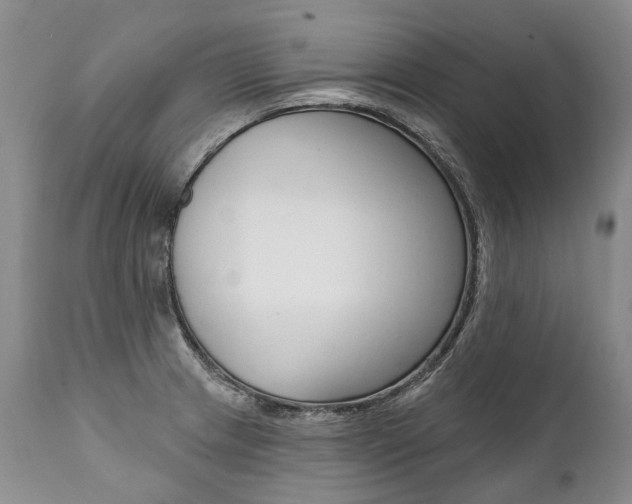 X0000112001233200908031038