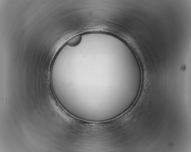 X0000112001234200908031038