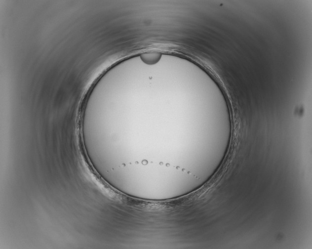 X0000112001235200908031038