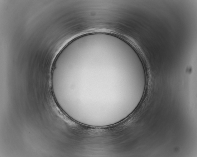 X0000112001236200908031038