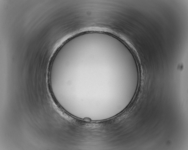 X0000112001237200908031038