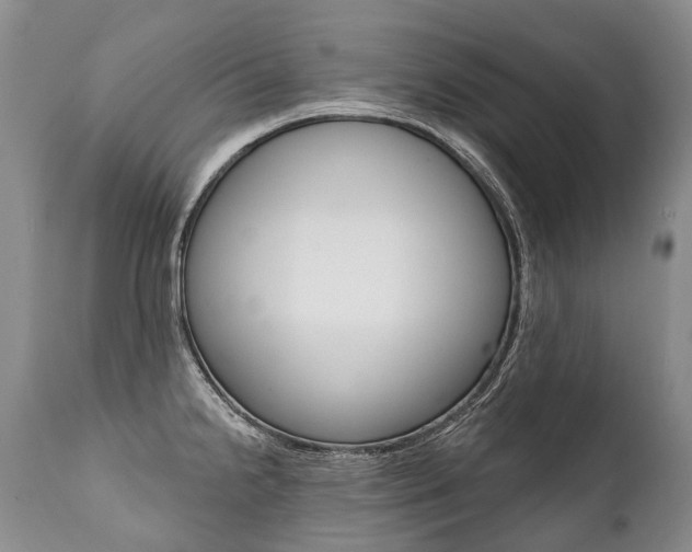 X0000112001238200908031038