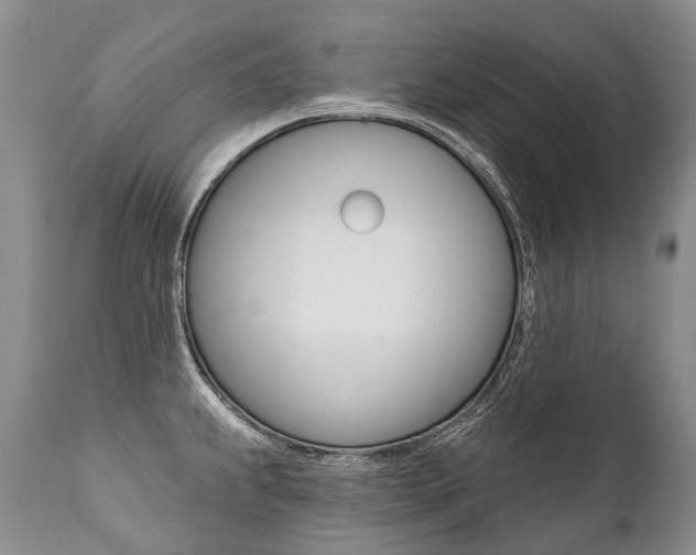 X0000112001239200908031038