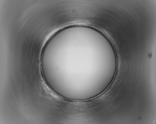 X0000112001240200908031038
