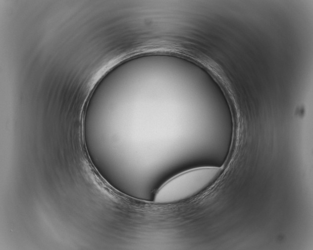 X0000112001242200908031038