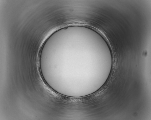 X0000112001243200908031038