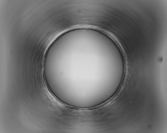 X0000112001244200908031038