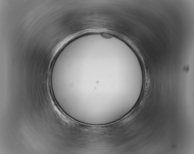 X0000112001245200908031038