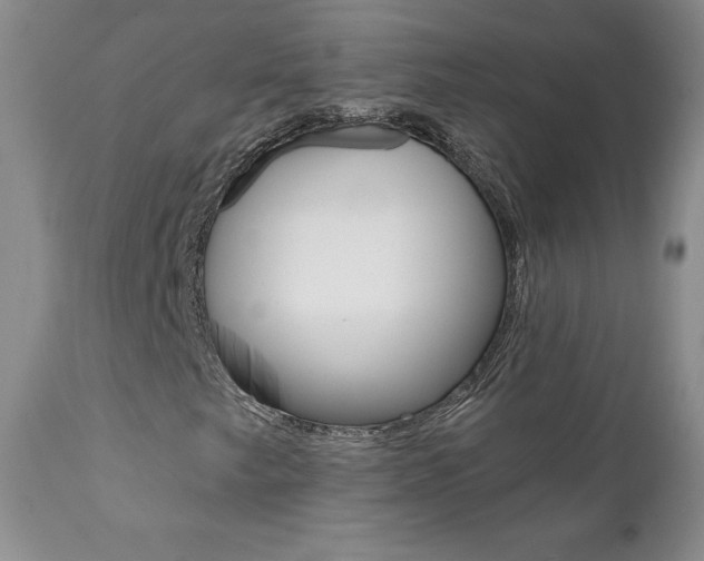 X0000112001249200908031038