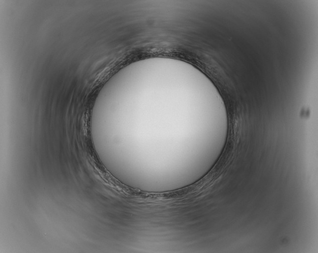 X0000112001250200908031038