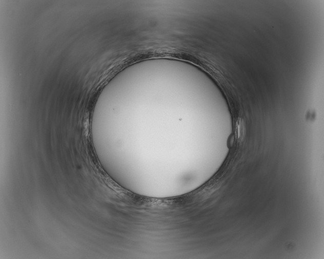 X0000112001251200908031038