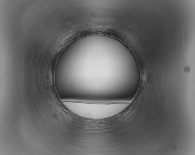 X0000112001252200908031038