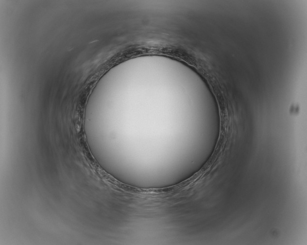 X0000112001253200908031038