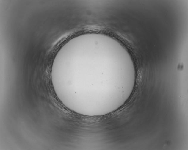 X0000112001254200908031038