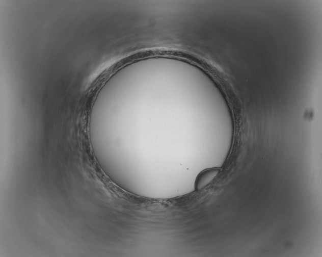 X0000112001255200908031038