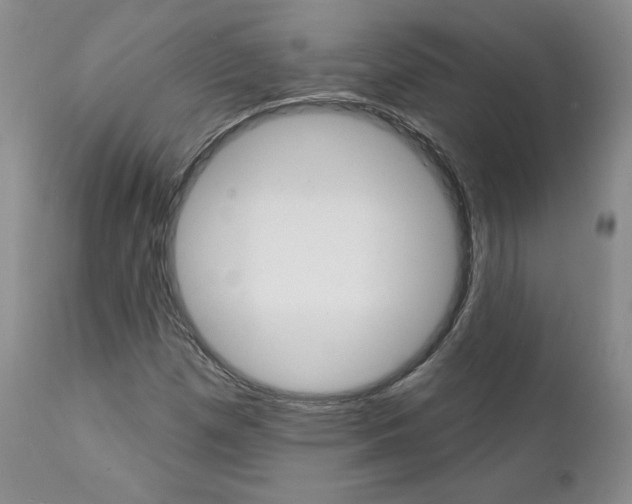 X0000112001257200908031038
