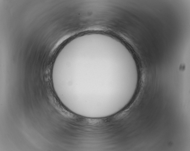 X0000112001258200908031038