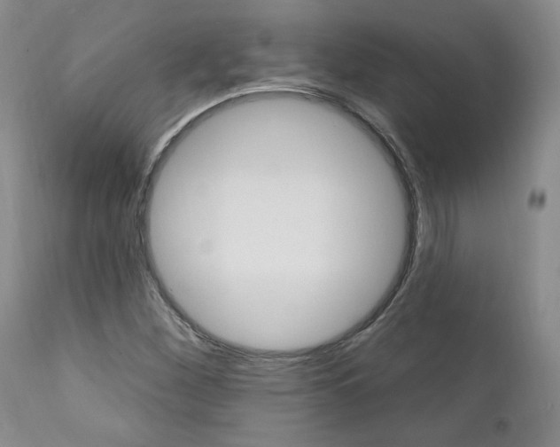 X0000112001260200908031038